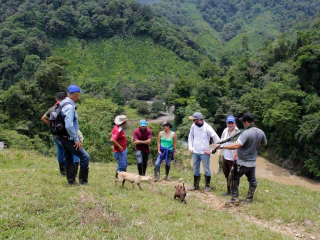 Paz en los territorios